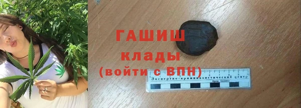 2c-b Новозыбков