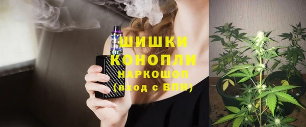 2c-b Новозыбков
