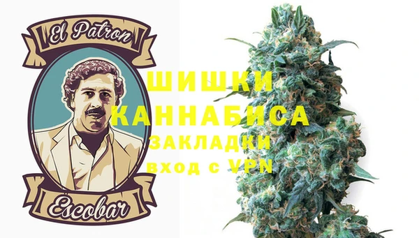 сатива Нягань