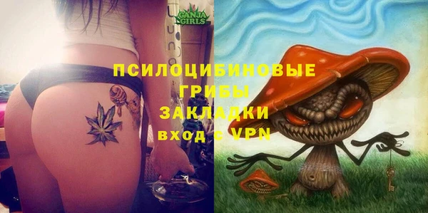2c-b Новозыбков