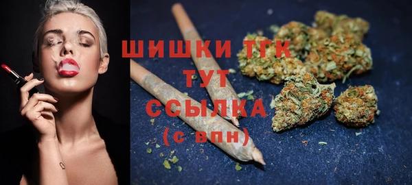 прущая мука Няндома